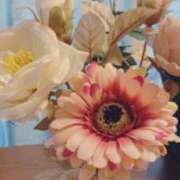 ヒメ日記 2025/03/19 03:13 投稿 高田 まつり こあくまな熟女たち豊橋店（KOAKUMAグループ）