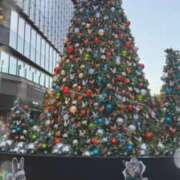 すず すずです🐰 池袋あられ