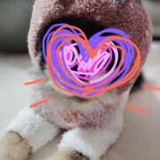 ヒメ日記 2025/03/16 10:32 投稿 美保夏実 ローテンブルク