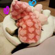 ヒメ日記 2025/04/29 13:50 投稿 美保夏実 ローテンブルク