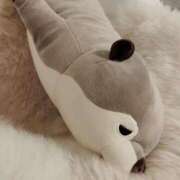 ヒメ日記 2025/07/03 11:31 投稿 美保夏実 ローテンブルク