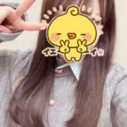 ヒメ日記 2025/04/05 14:41 投稿 もこ リニューアル