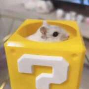 ヒメ日記 2025/08/01 22:34 投稿 もこ リニューアル