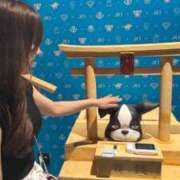 ヒメ日記 2025/09/03 12:15 投稿 もこ リニューアル