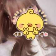 もこ 明日出勤だよ〜 リニューアル