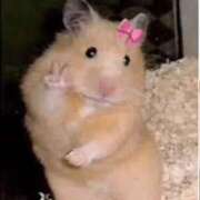 ヒメ日記 2026/02/27 16:18 投稿 あむ 白いぽっちゃりさん仙台店