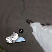 ヒメ日記 2025/05/06 00:18 投稿 いつき 素敵な女の子は好きですか？