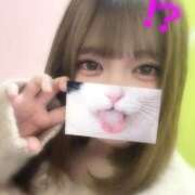 ヒメ日記 2025/12/14 15:33 投稿 いつき 素敵な女の子は好きですか？