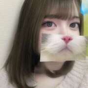 ヒメ日記 2025/12/23 14:36 投稿 いつき 素敵な女の子は好きですか？