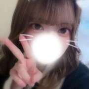 ヒメ日記 2026/01/29 01:27 投稿 いつき 素敵な女の子は好きですか？