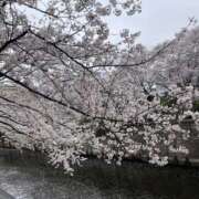 ヒメ日記 2025/04/07 10:20 投稿 りあ 錦糸町人妻セレブリティ（ユメオト）