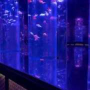 ヒメ日記 2025/05/05 11:20 投稿 しの わちゃわちゃ密着リアルフルーちゅ西船橋