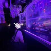 ヒメ日記 2025/05/17 09:20 投稿 しの わちゃわちゃ密着リアルフルーちゅ西船橋