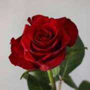 ヒメ日記 2025/02/13 16:27 投稿 ゆのん 新宿11チャンネル