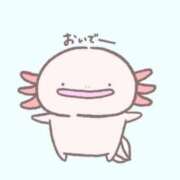 ヒメ日記 2025/03/15 14:44 投稿 ゆのん 新宿11チャンネル