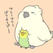 ヒメ日記 2025/03/24 07:18 投稿 ゆのん 新宿11チャンネル