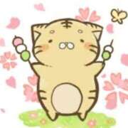 ヒメ日記 2025/03/27 15:34 投稿 ゆのん 新宿11チャンネル