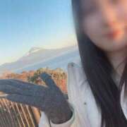 ヒメ日記 2025/02/26 11:02 投稿 つばき MIKADO