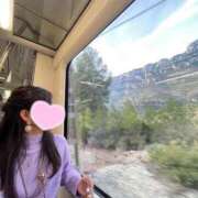 ヒメ日記 2025/03/08 08:21 投稿 つばき MIKADO