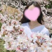 ヒメ日記 2025/04/01 15:41 投稿 つばき MIKADO