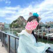 ヒメ日記 2025/04/09 11:21 投稿 つばき MIKADO