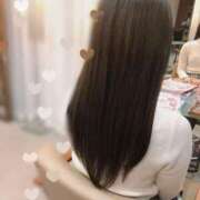 ヒメ日記 2025/05/15 07:46 投稿 つばき MIKADO