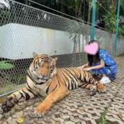 ヒメ日記 2025/07/14 10:38 投稿 つばき MIKADO