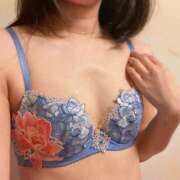 ヒメ日記 2025/12/06 09:41 投稿 つばき MIKADO