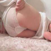 ヒメ日記 2025/12/27 13:01 投稿 つばき MIKADO