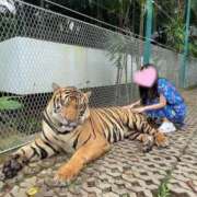 ヒメ日記 2026/01/26 17:41 投稿 つばき MIKADO