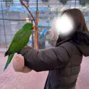 ヒメ日記 2026/03/09 21:31 投稿 つばき MIKADO