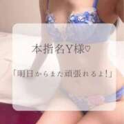 ヒメ日記 2026/04/12 01:41 投稿 つばき MIKADO