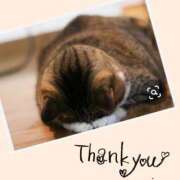 ヒメ日記 2025/05/15 20:20 投稿 おれお 奥様特急新潟店