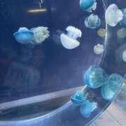 ヒメ日記 2025/08/21 15:45 投稿 なつ エロさMAX！！ ウエスト・コム