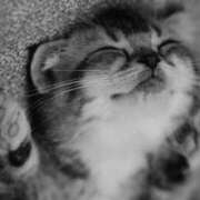 ヒメ日記 2025/11/06 01:47 投稿 なつ エロさMAX！！ ウエスト・コム