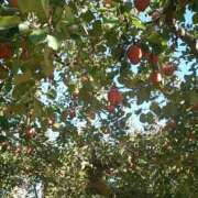 ヒメ日記 2025/11/12 14:25 投稿 なつ エロさMAX！！ ウエスト・コム