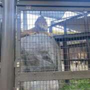 ヒメ日記 2026/01/29 13:25 投稿 なつ エロさMAX！！ ウエスト・コム