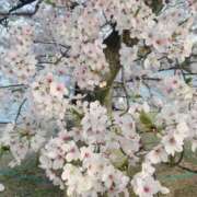 ヒメ日記 2026/04/02 16:25 投稿 なつ エロさMAX！！ ウエスト・コム