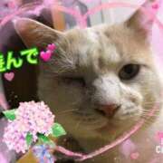 ヒメ日記 2025/05/16 18:26 投稿 おれお 奥様特急三条店