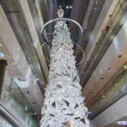 ヒメ日記 2025/12/23 10:03 投稿 前田きぬほ 美魔女エステ