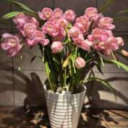 前田きぬほ ※無題 美魔女エステ