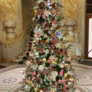 前田きぬほ こんにちは ワイフコレクション