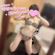 ヒメ日記 2025/11/12 12:03 投稿 ミツバ OLの品格 クラブアッシュ