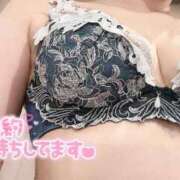 ヒメ日記 2025/11/19 06:15 投稿 ミツバ OLの品格 クラブアッシュ