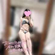 ヒメ日記 2025/12/16 06:15 投稿 ミツバ OLの品格 クラブアッシュ