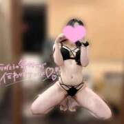 ヒメ日記 2025/12/16 12:02 投稿 ミツバ OLの品格 クラブアッシュ