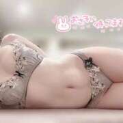 ヒメ日記 2026/01/15 09:25 投稿 ミツバ OLの品格 クラブアッシュ