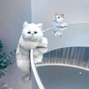 ヒメ日記 2025/05/28 22:01 投稿 叶谷 くらら AROMAGE（アロマージュ）