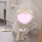 ヒメ日記 2025/06/23 23:56 投稿 ゆか 池袋マリン本店