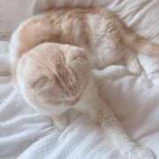 ヒメ日記 2025/07/24 19:08 投稿 ゆか 池袋マリン本店